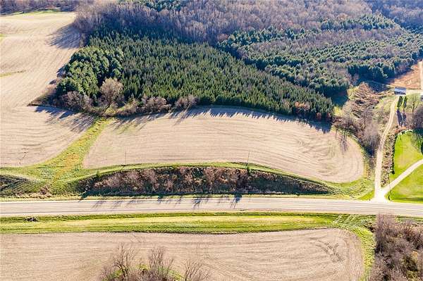 6.5 Acres of Land for Sale in Arcadia, Wisconsin