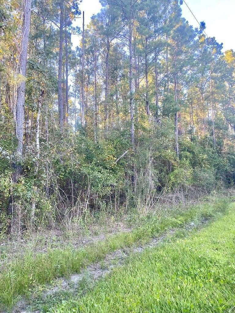 1.39 Acres of Residential Land for Sale in Wewahitchka, Florida