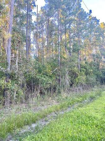 1.39 Acres of Residential Land for Sale in Wewahitchka, Florida