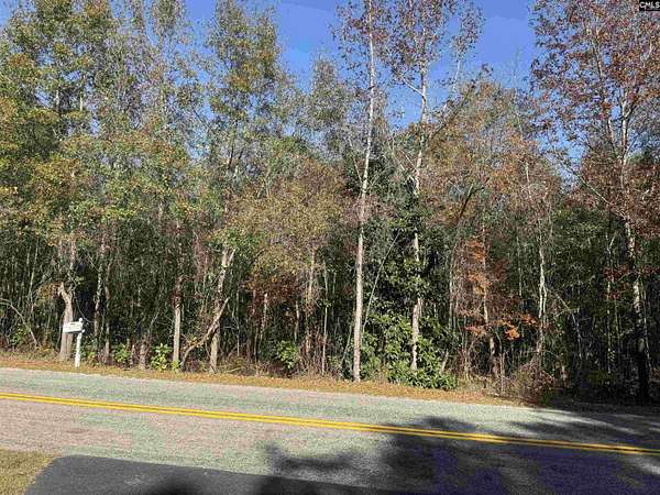 5.66 Acres of Residential Land for Sale in Hopkins, South Carolina
