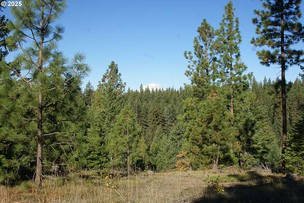 80 Acres of Recreational Land for Sale in Goldendale, Washington