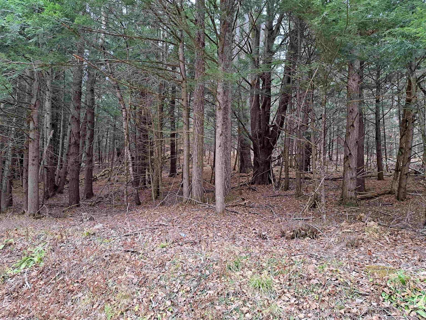 10 Acres of Land for Sale in Unity, New Hampshire
