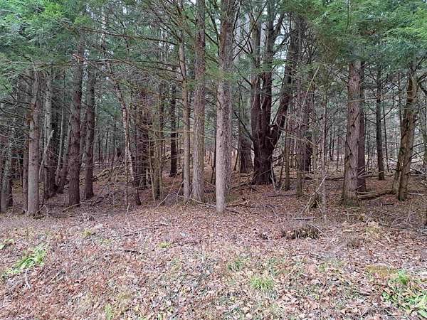 10 Acres of Land for Sale in Unity, New Hampshire