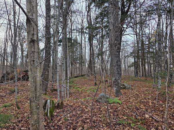 431 Acres of Recreational Land for Sale in Watersmeet, Michigan