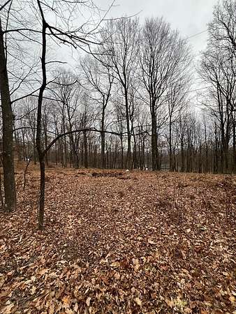 1.72 Acres of Land for Sale in James Creek, Pennsylvania