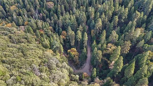 0.07 Acres of Land for Sale in Cedarpines Park, California