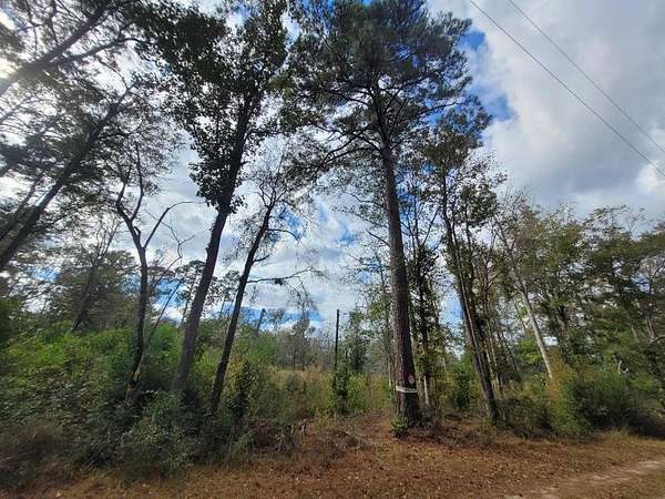 1.66 Acres of Land for Sale in Kirbyville, Texas