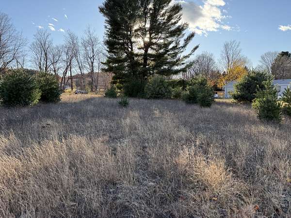 0.35 Acres of Land for Sale in Bear Lake, Michigan