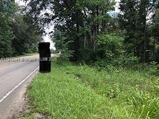3 Acres of Residential Land for Sale in Micanopy, Florida