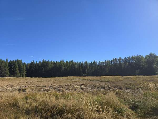 290 Acres of Land for Sale in Colville, Washington