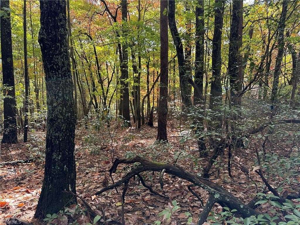 1.32 Acres of Residential Land for Sale in Purlear, North Carolina