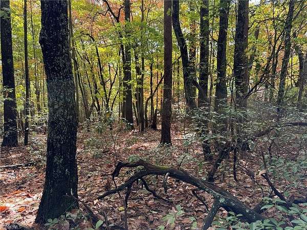 1.32 Acres of Residential Land for Sale in Purlear, North Carolina