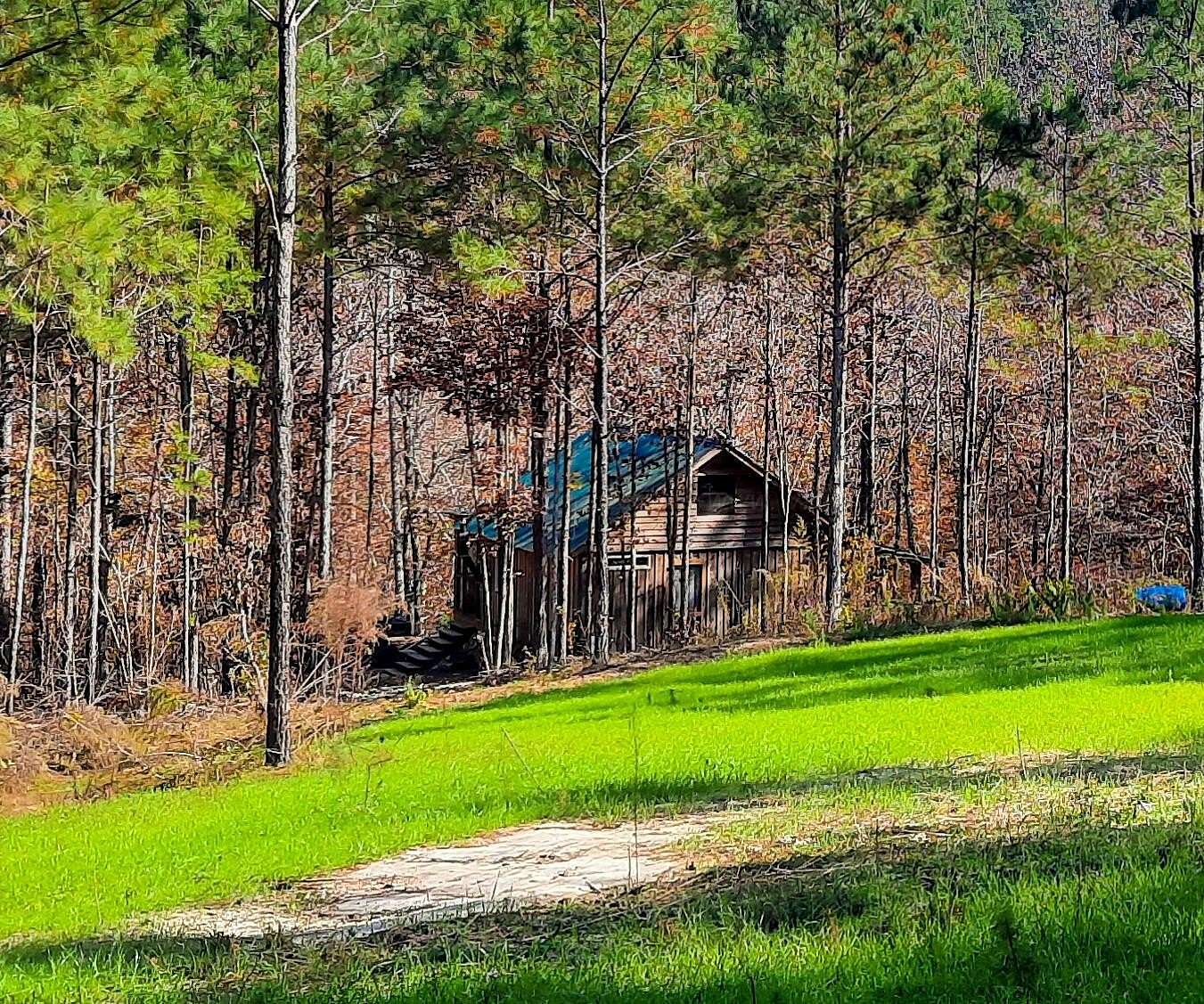 25 Acres of Recreational Land for Sale in Double Springs, Alabama