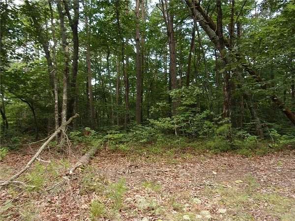 0.72 Acres of Land for Sale in Dawsonville, Georgia