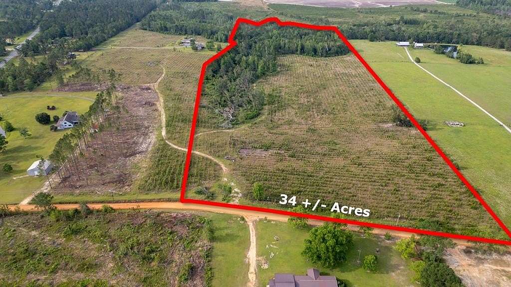 34.1 Acres of Recreational Land for Sale in Uvalda, Georgia