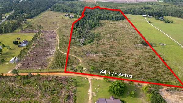 34.1 Acres of Recreational Land for Sale in Uvalda, Georgia