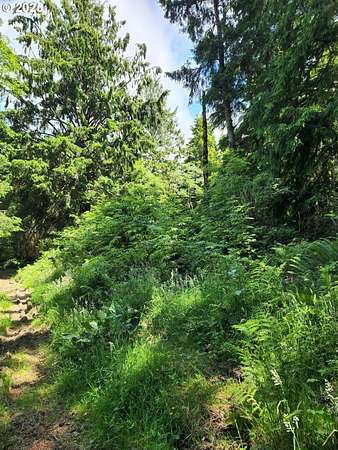 0.23 Acres of Residential Land for Sale in Rockaway Beach, Oregon