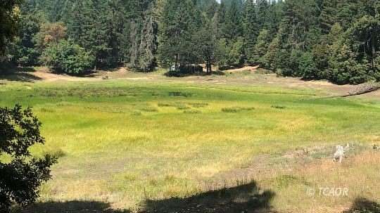 40 Acres of Land for Sale in Burnt Ranch, California