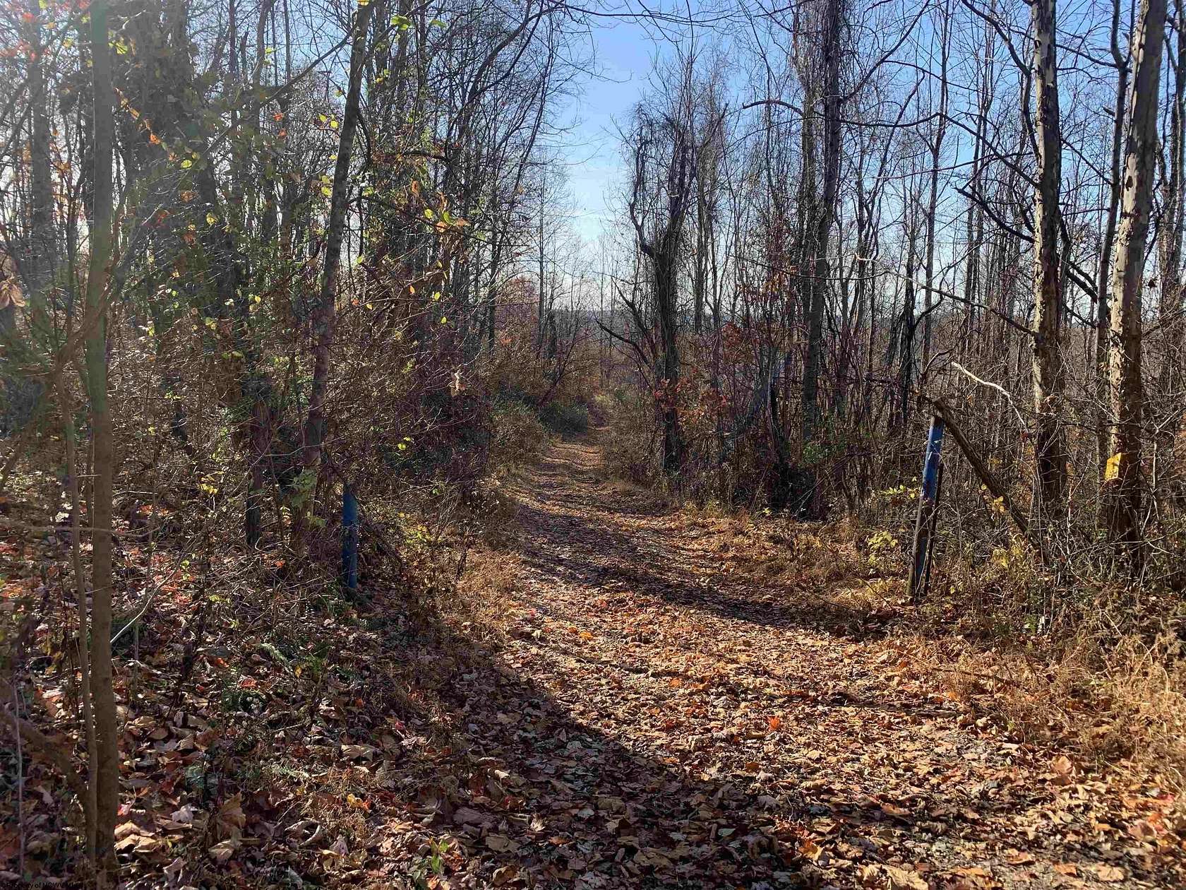 79.6 Acres of Recreational Land for Sale in Philippi, West Virginia