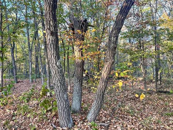 1.25 Acres of Land for Sale in Walker, Minnesota