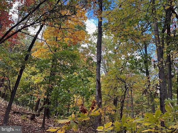 0.97 Acres of Residential Land for Sale in Haymarket, Virginia