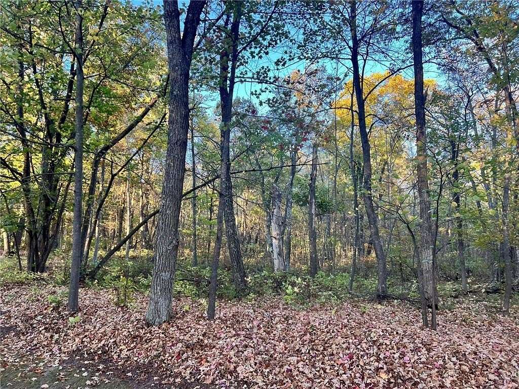 1.25 Acres of Land for Sale in Walker, Minnesota