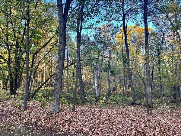 1.25 Acres of Land for Sale in Walker, Minnesota