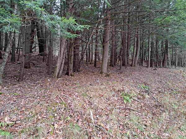 20 Acres of Land for Sale in Unity, New Hampshire