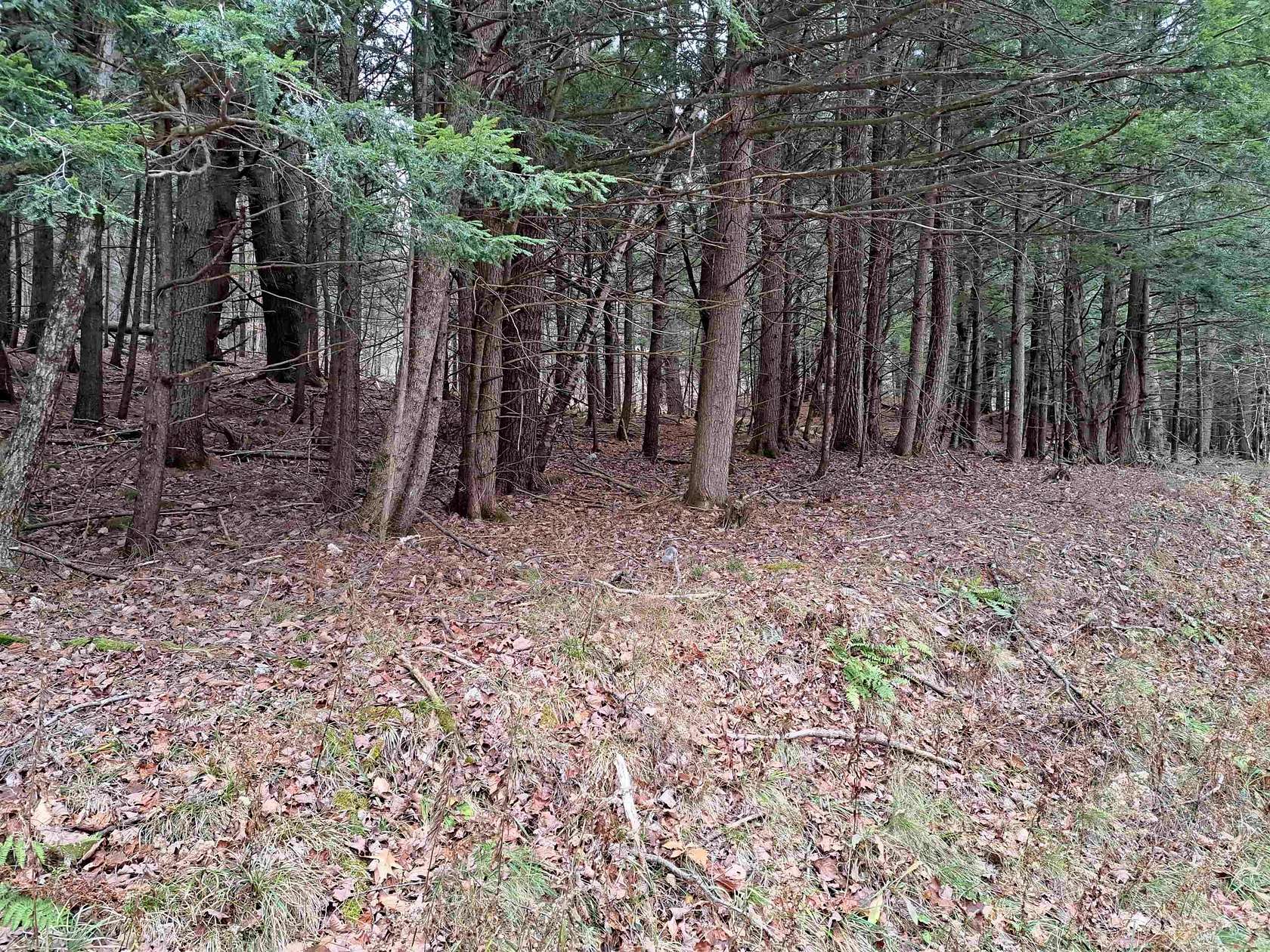 10 Acres of Land for Sale in Unity, New Hampshire