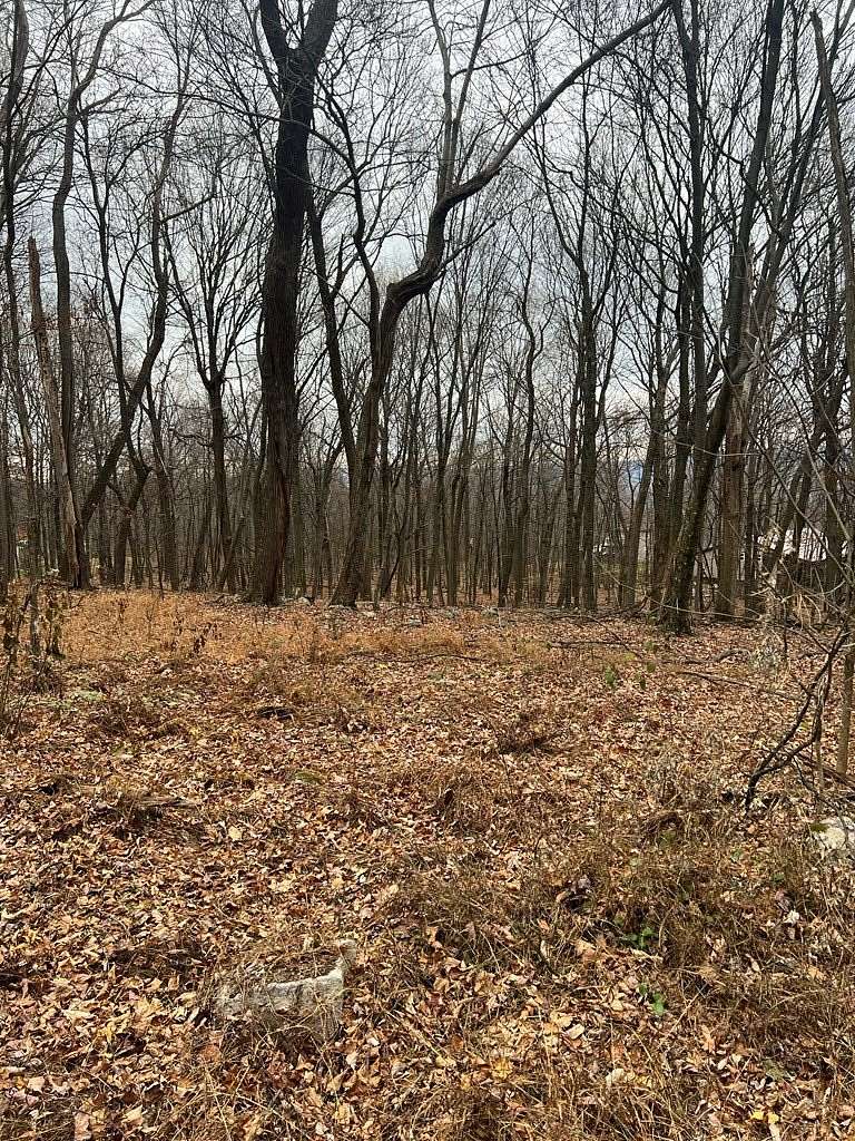 2 Acres of Land for Sale in James Creek, Pennsylvania