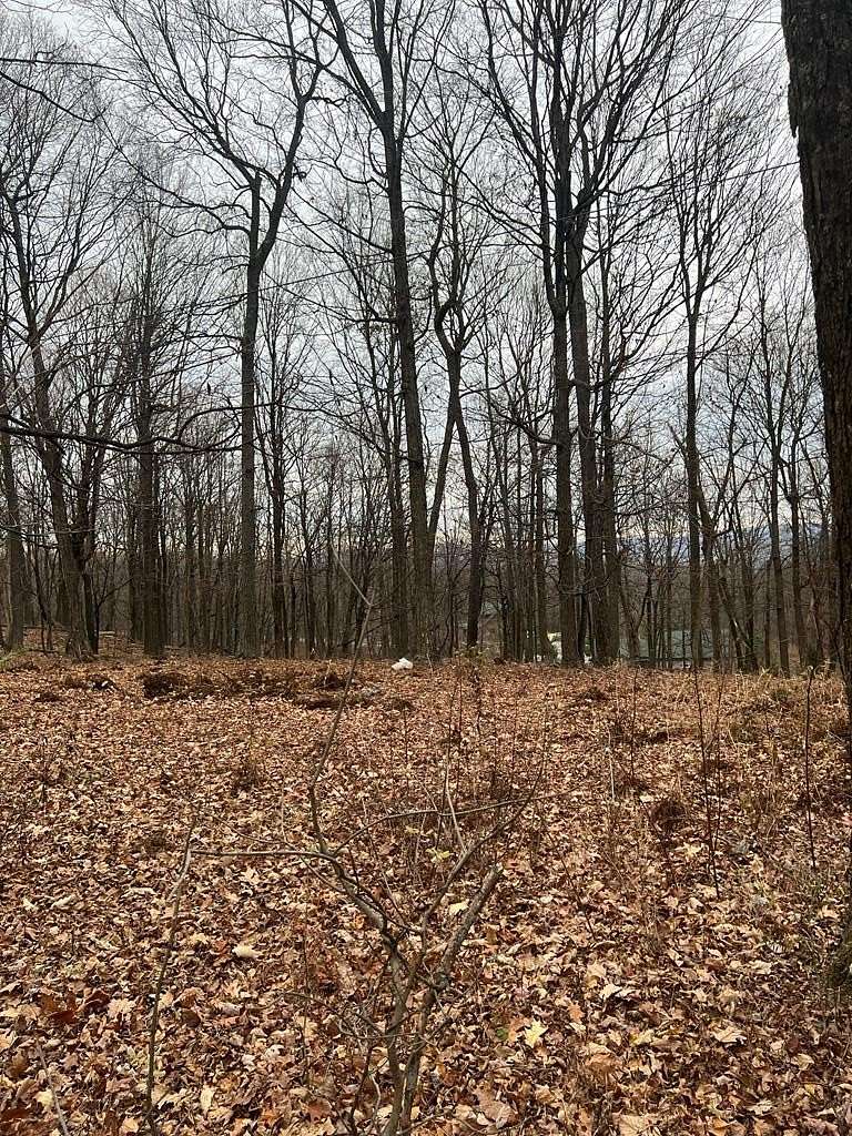 2 Acres of Land for Sale in James Creek, Pennsylvania