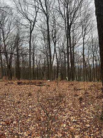 2 Acres of Land for Sale in James Creek, Pennsylvania