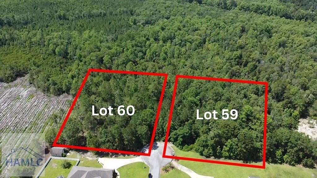 1 Acre of Residential Land for Sale in Jesup, Georgia