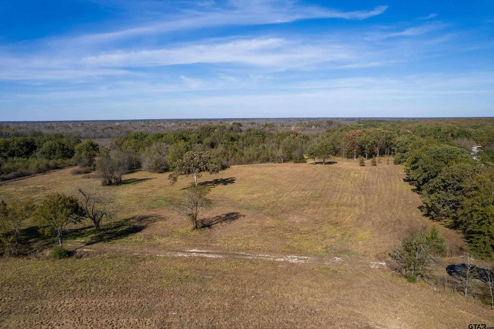 38.8 Acres of Recreational & Residential Land for Sale in Talco, Texas