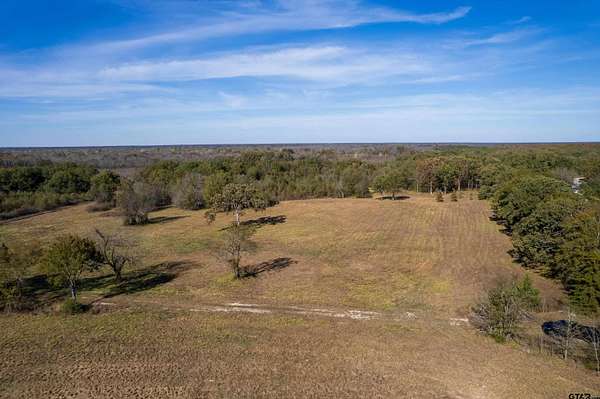 38.8 Acres of Recreational & Residential Land for Sale in Talco, Texas