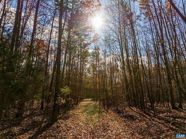 70.2 Acres of Land for Sale in Bybee, Virginia