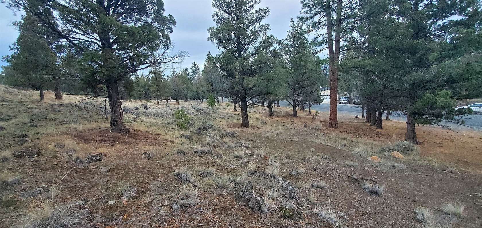 0.26 Acres of Residential Land for Sale in Weed, California