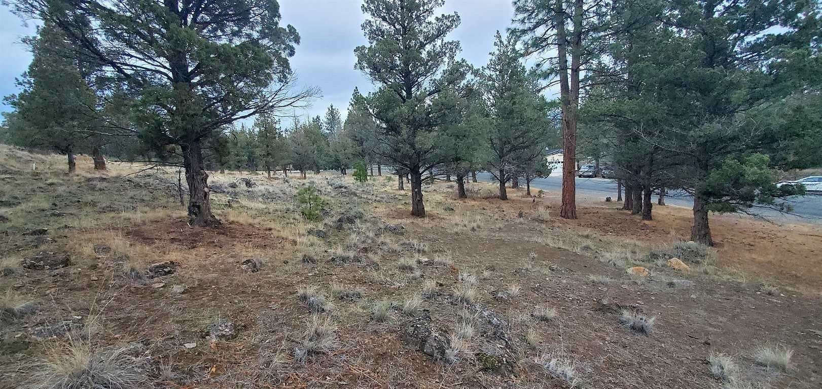 0.26 Acres of Residential Land for Sale in Weed, California