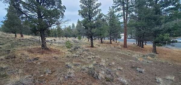 0.26 Acres of Residential Land for Sale in Weed, California