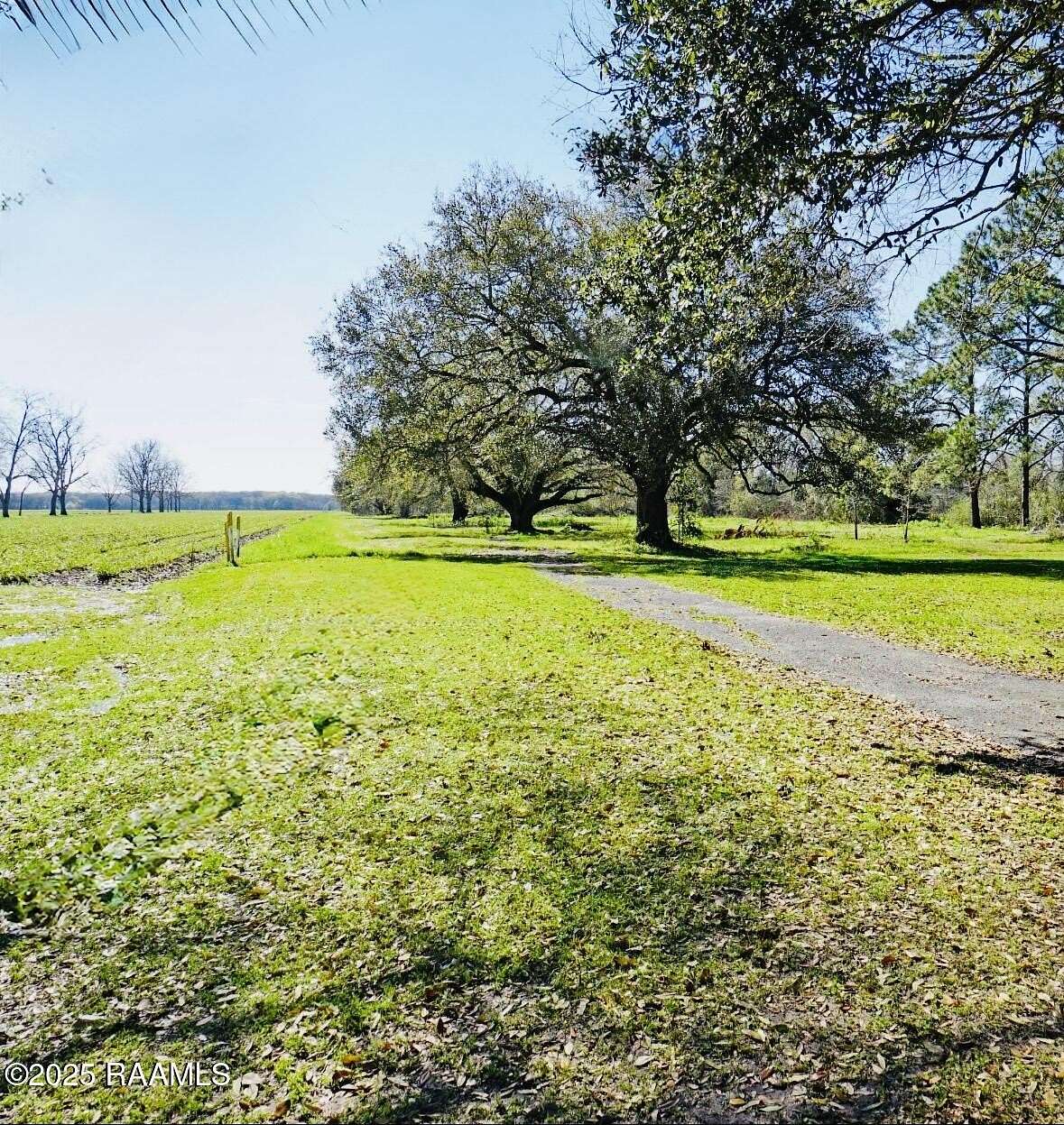 8.77 Acres of Land for Sale in Breaux Bridge, Louisiana