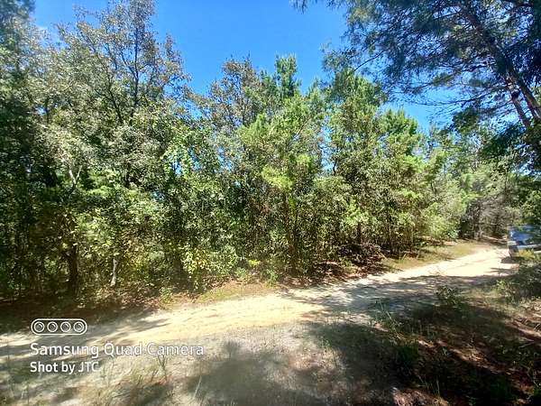 0.25 Acres of Residential Land for Sale in Satsuma, Florida
