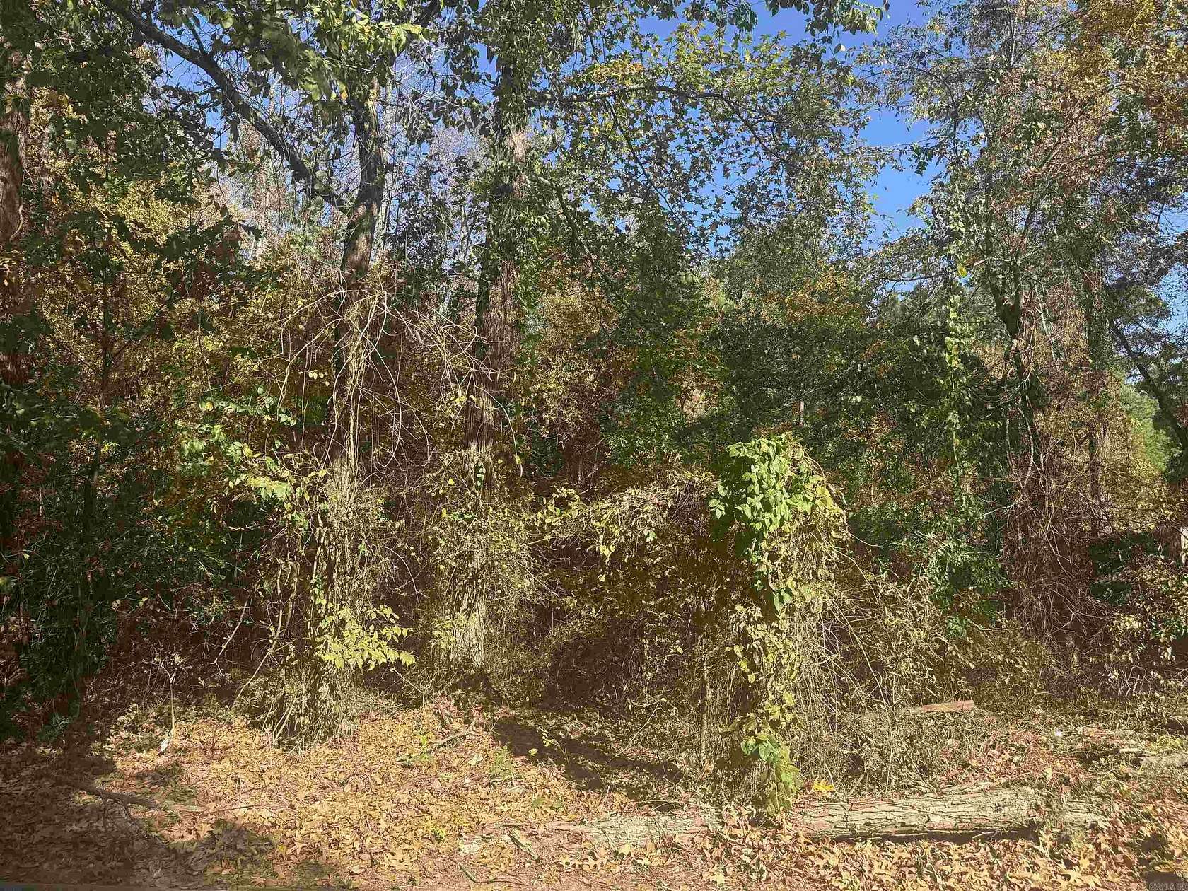 0.78 Acres of Land for Sale in Pine Bluff, Arkansas