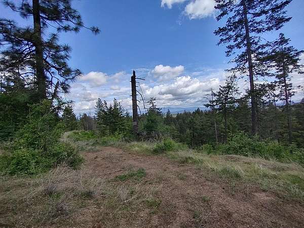 40 Acres of Recreational Land for Sale in Loon Lake, Washington