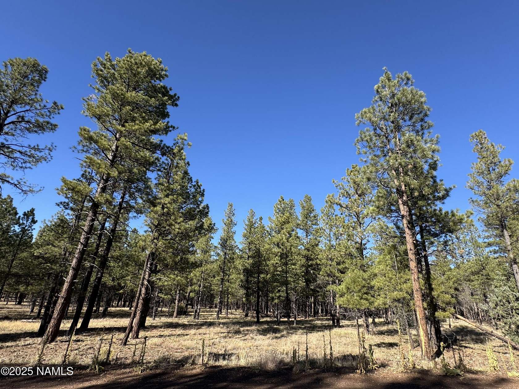 2.44 Acres of Residential Land for Sale in Flagstaff, Arizona