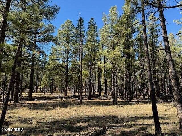 2.44 Acres of Residential Land for Sale in Flagstaff, Arizona