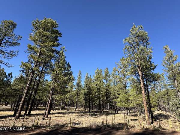 2.44 Acres of Residential Land for Sale in Flagstaff, Arizona