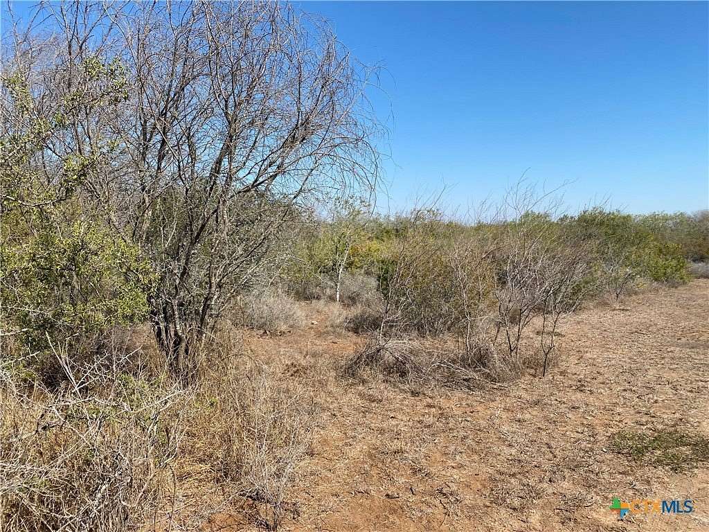 27.7 Acres of Recreational Land for Sale in Orange Grove, Texas