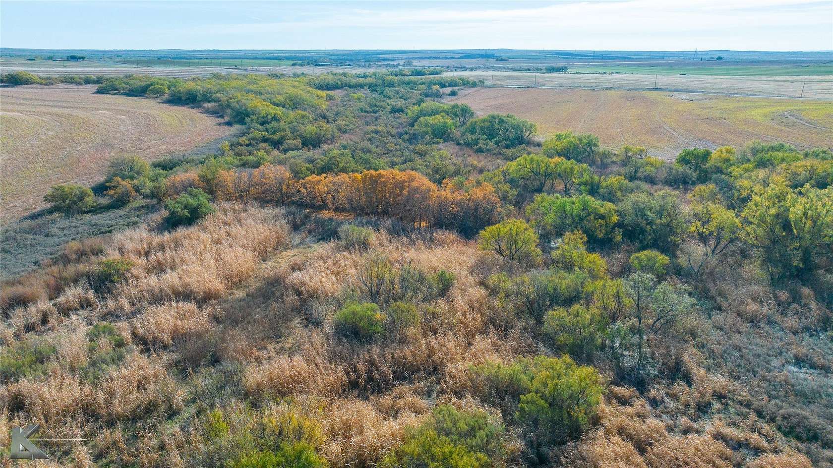 160 Acres of Agricultural Land for Sale in Roby, Texas