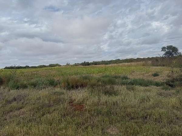 160 Acres of Agricultural Land for Sale in Roby, Texas