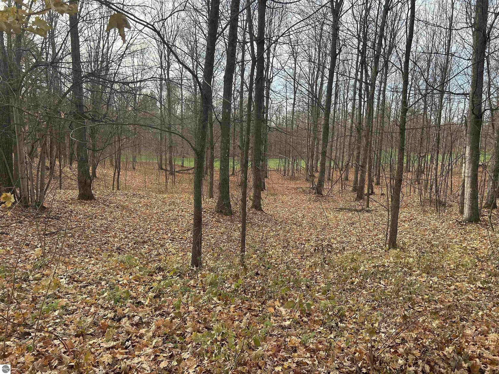0.61 Acres of Residential Land for Sale in Bellaire, Michigan